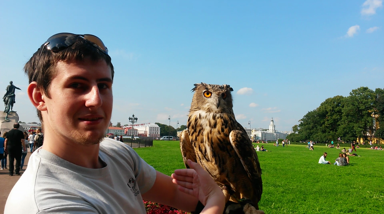 Owl at the Bronze Horseman - My, Owl, Saint Petersburg, Bronze Horseman