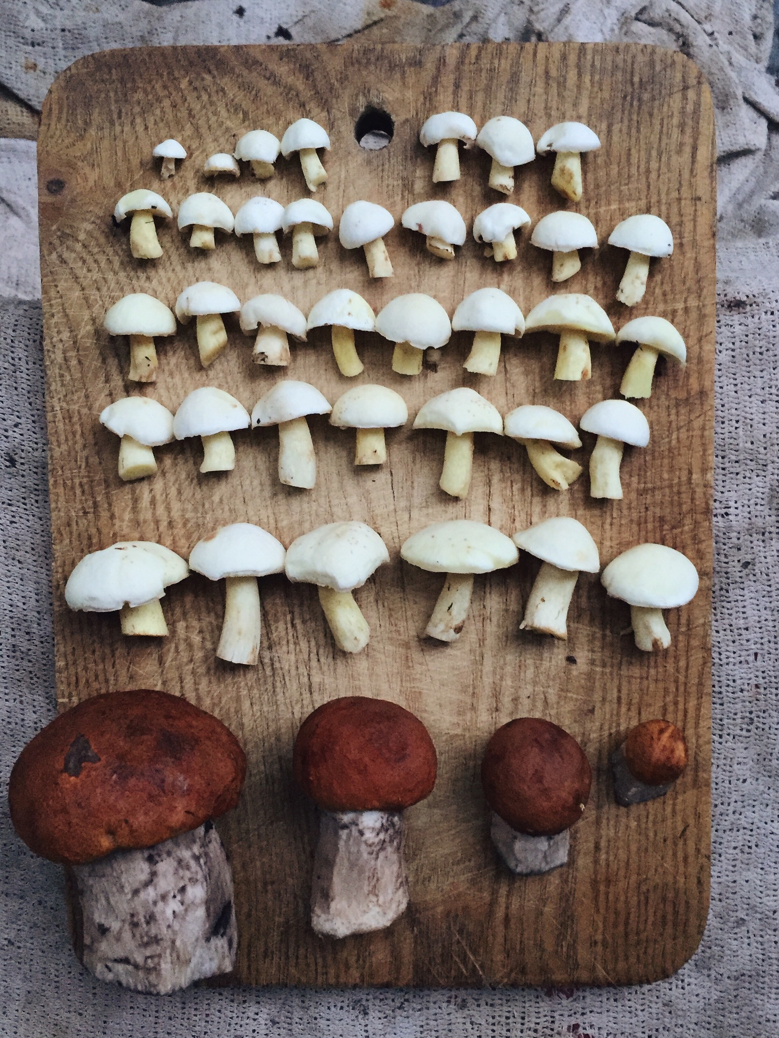 Perfect mushroom. - My, Mushrooms, Forest, Village, Grandmother