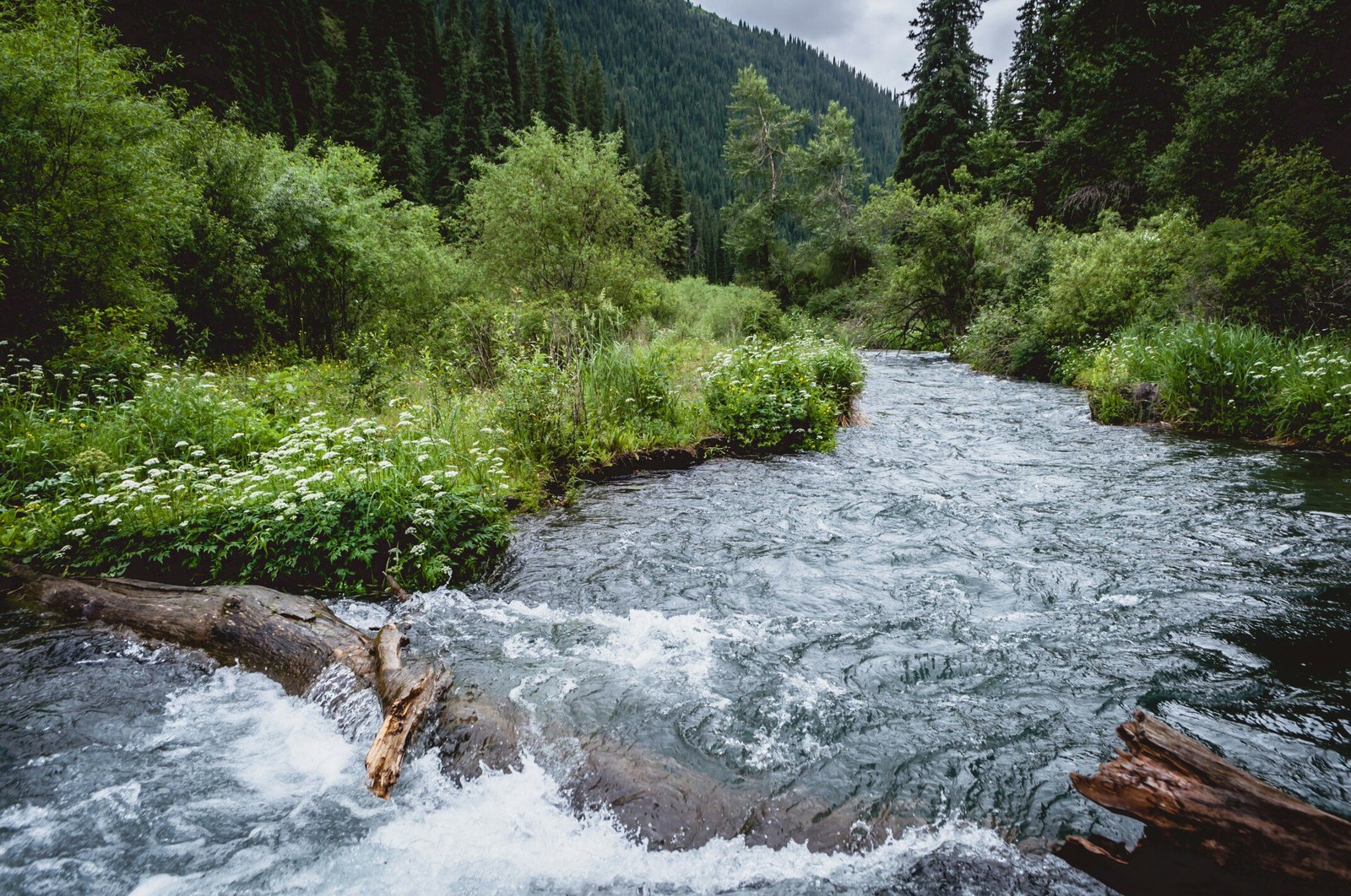 How I went to Kolsai Lake... - My, Kazakhstan, Nature, , Photo, The photo, Almaty, Nikon, Longpost