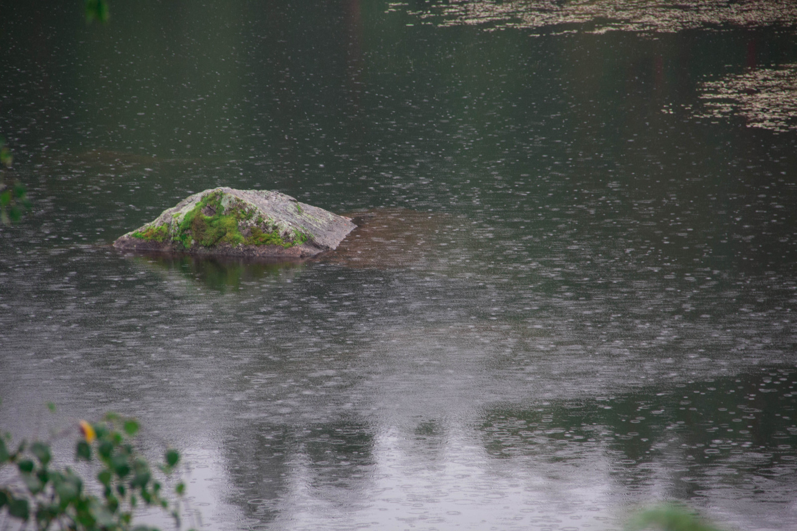 Alone with nature. - My, Nature, Lake, Карелия, , 18-135, Longpost, Canon 60d