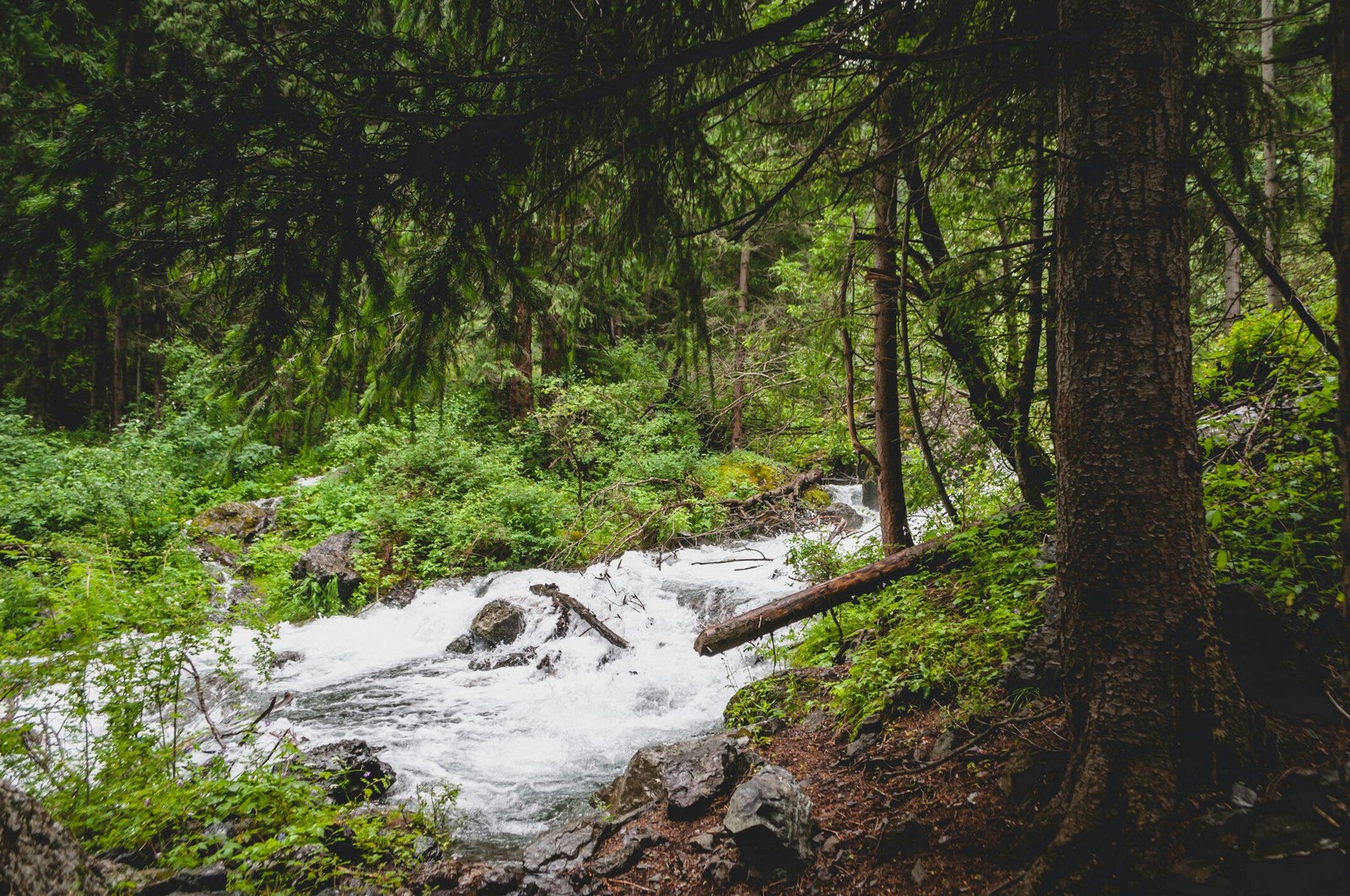 How I went to Lake Kolsai... Part 2 - My, Kazakhstan, Almaty, The photo, Photo, Nikon, Nature, The mountains, Tourism, Longpost