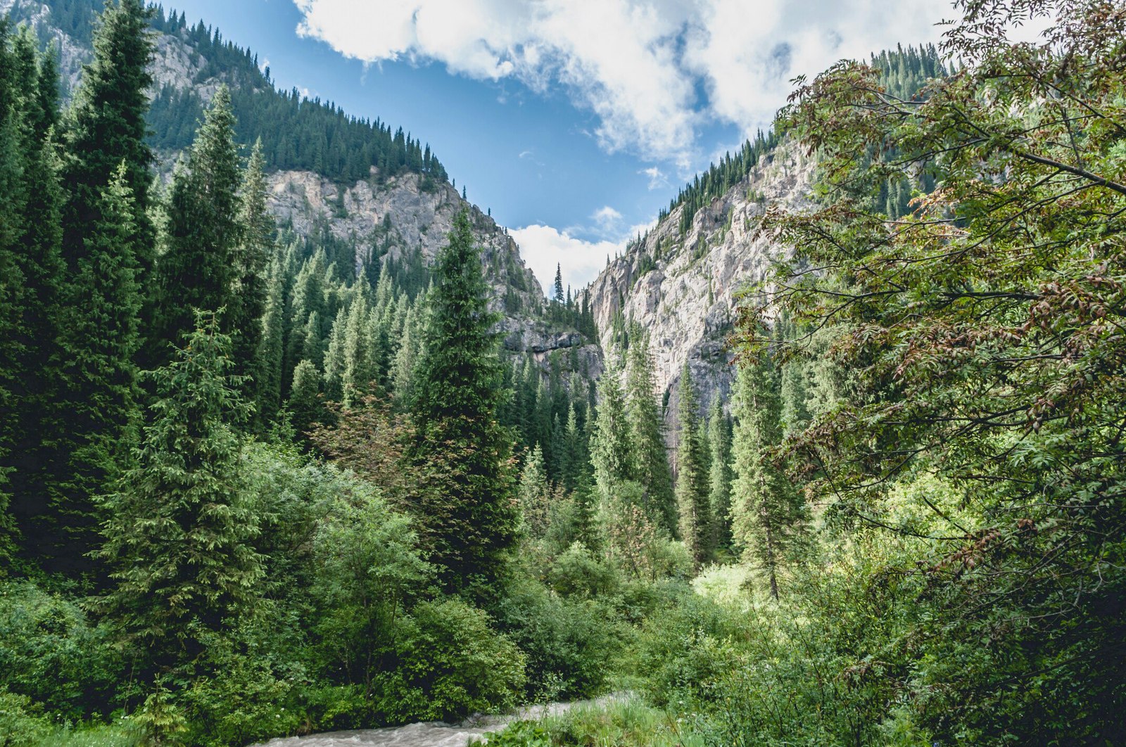 How I went to Lake Kolsai... Part 2 - My, Kazakhstan, Almaty, The photo, Photo, Nikon, Nature, The mountains, Tourism, Longpost