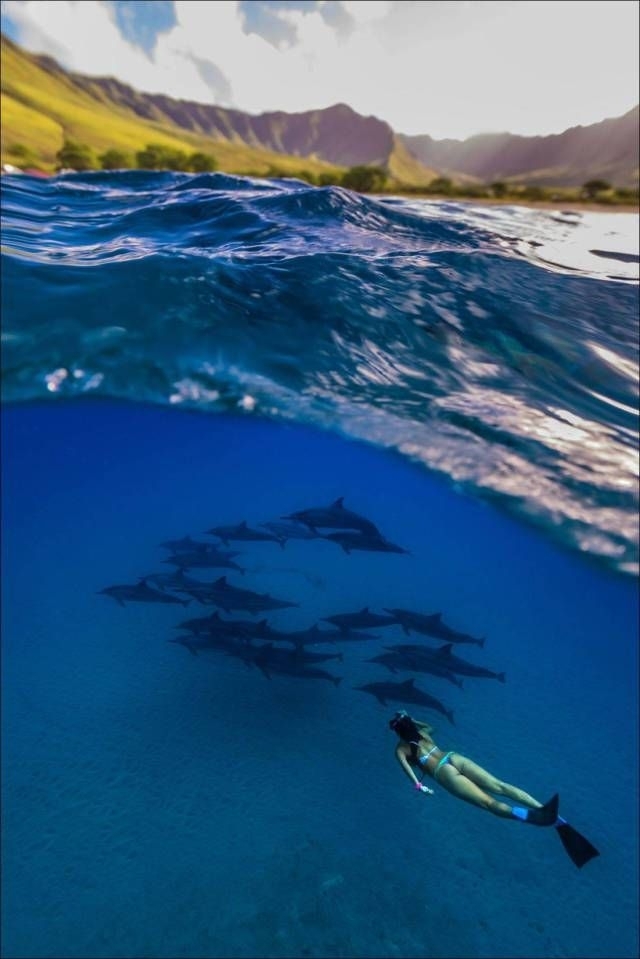 Under the water. - Girls, Water, Dolphin, Bumper