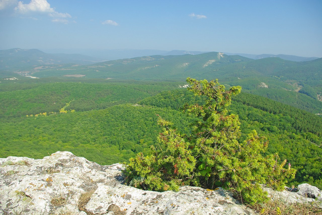 Magic Mangup. - My, Crimea, Mangup, The mountains, Photo, Place of power, Tourism, Crimea, Travels, Longpost