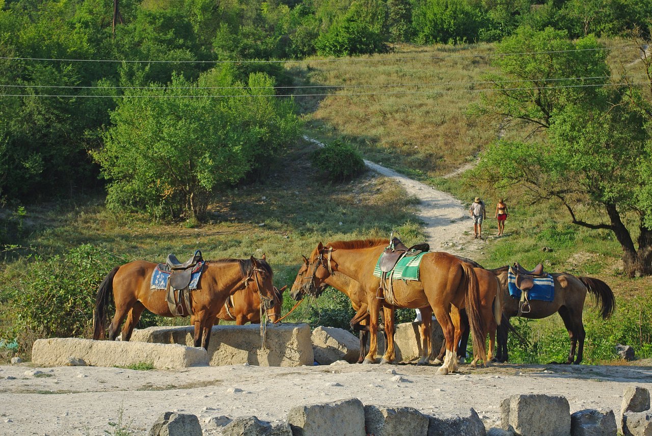 Magic Mangup. - My, Crimea, Mangup, The mountains, Photo, Place of power, Tourism, Crimea, Travels, Longpost