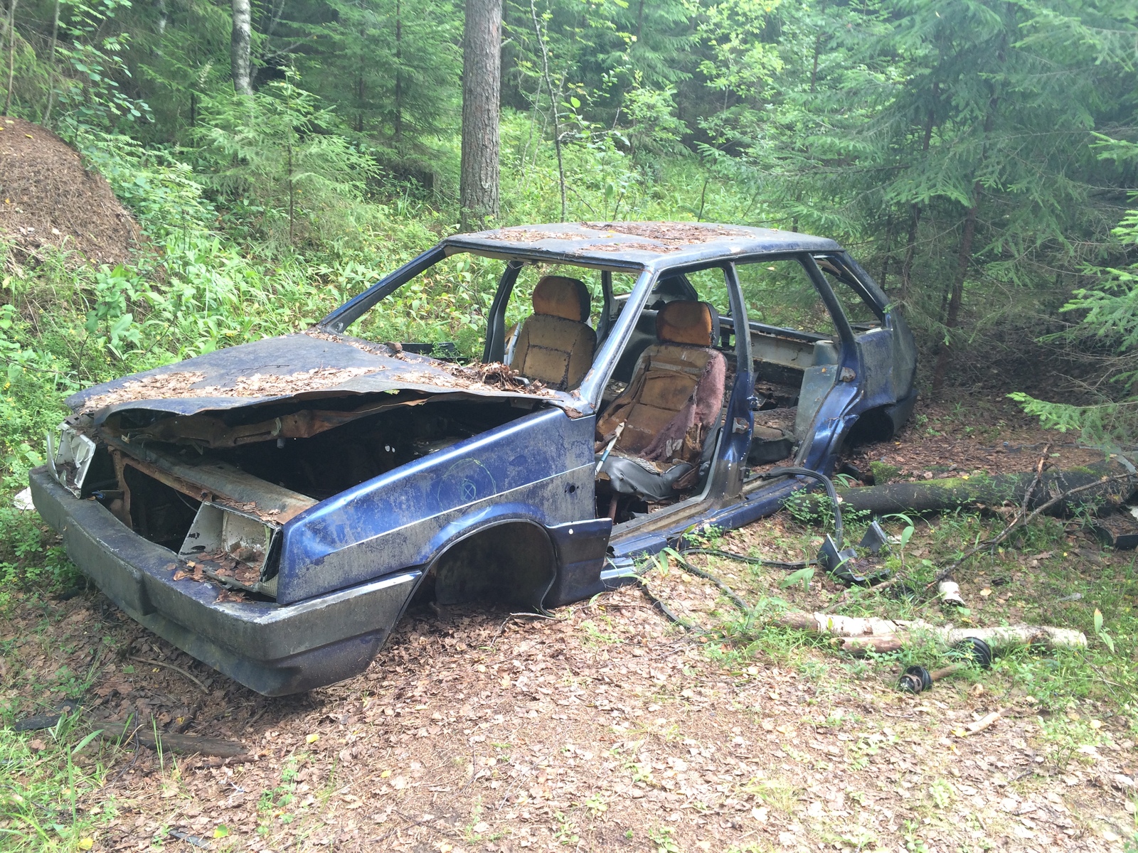 Somewhere in the woods - My, Auto, Mushrooms