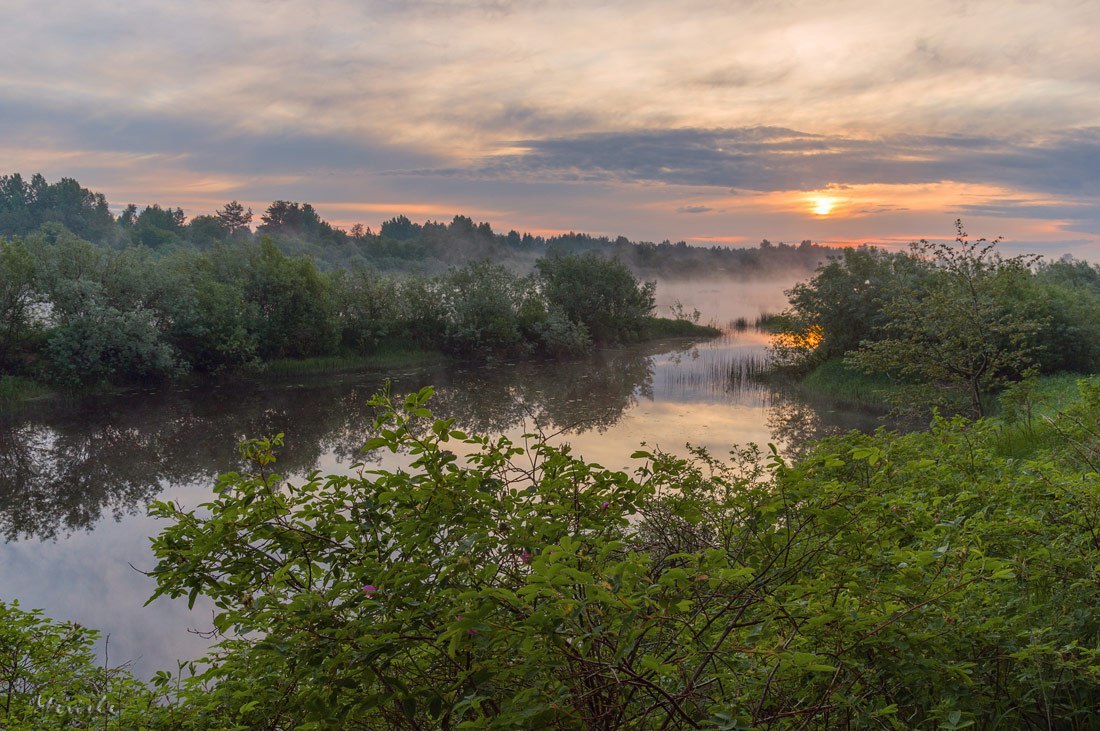 Mologa River - Russia, Vologodskaya Oblast, Photo, Nature, River, Longpost