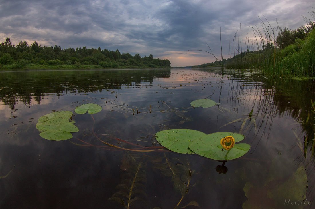 Mologa River - Russia, Vologodskaya Oblast, Photo, Nature, River, Longpost