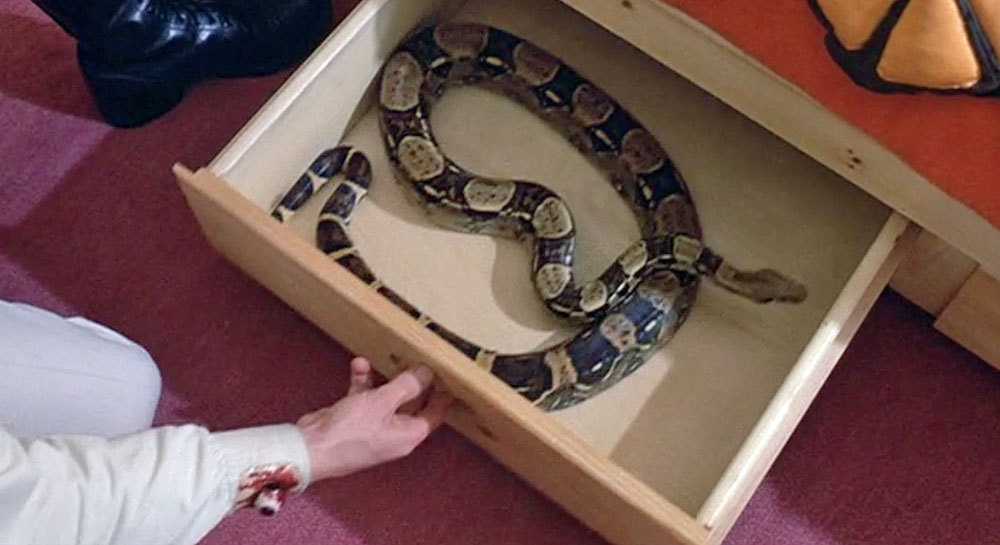 This is how my house is represented when I say that I live with snakes. - Snake, Terrariumistics, Reptiles, Python, Boa, Stereotypes, Longpost