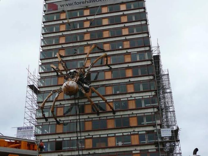 Spider on the building of the Liverpool railway station. - Spider, Liverpool, Interesting