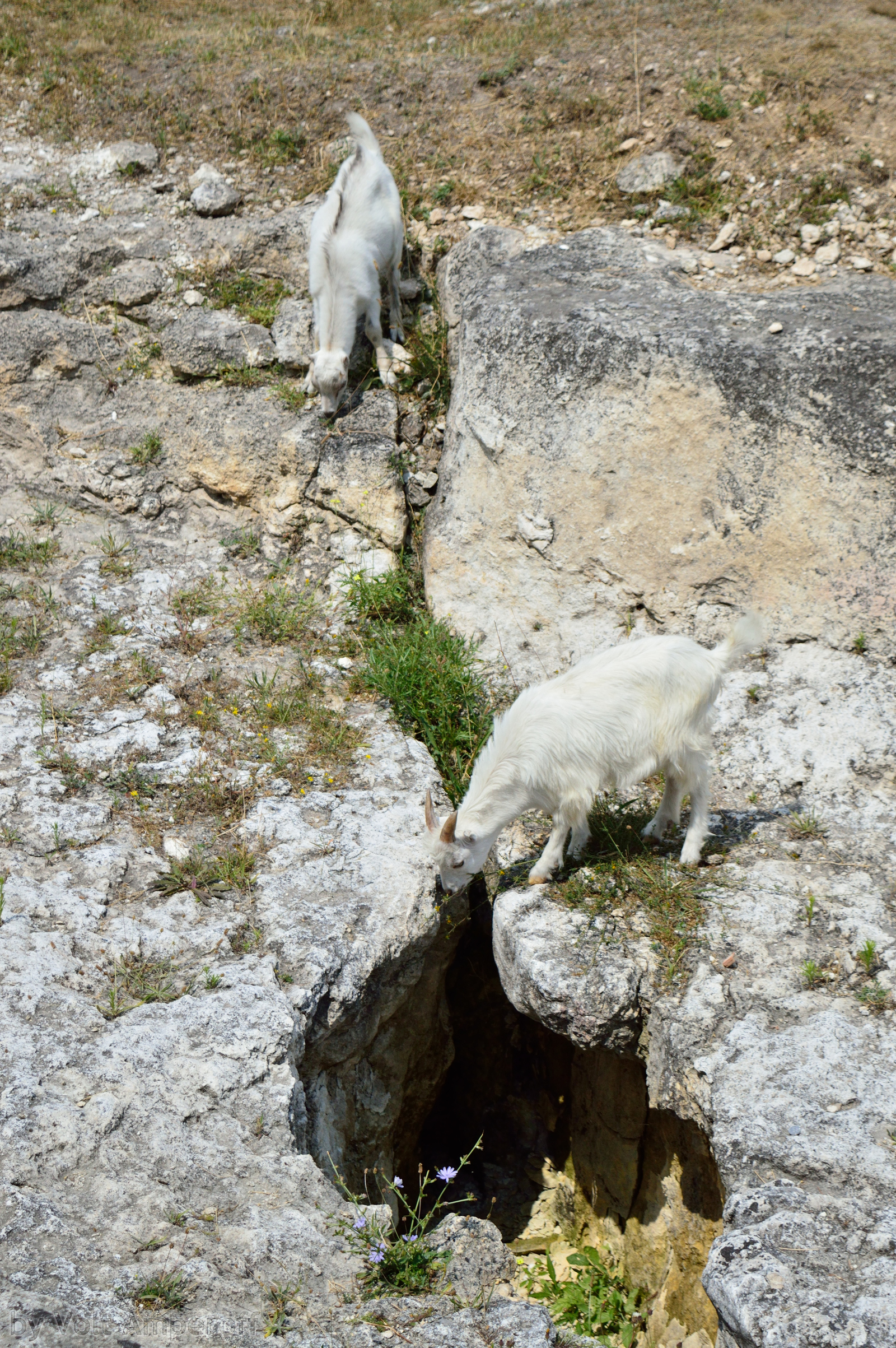 A bit of Crimea (Simferopol) - My, Photo, Crimea, Simferopol, Longpost