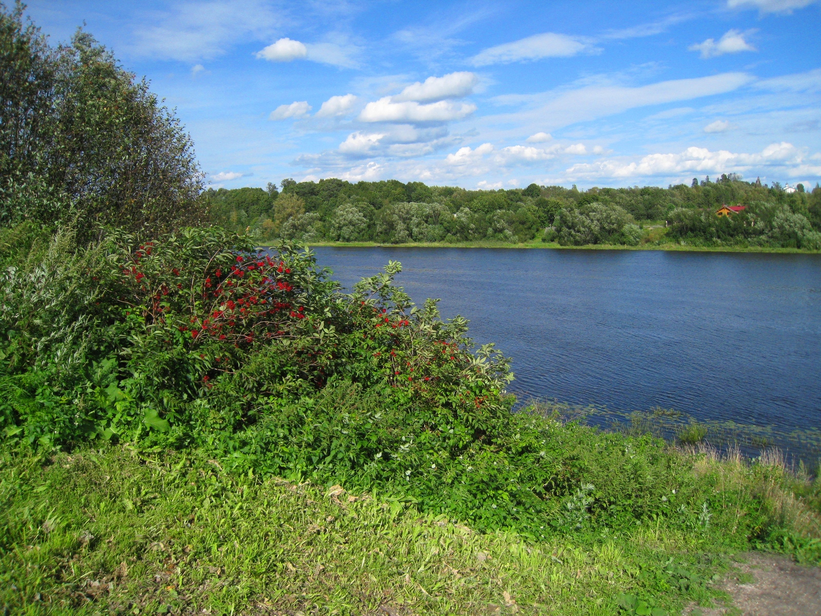 Волхов - Моё, Река, Река Волхов, Вода, Длиннопост