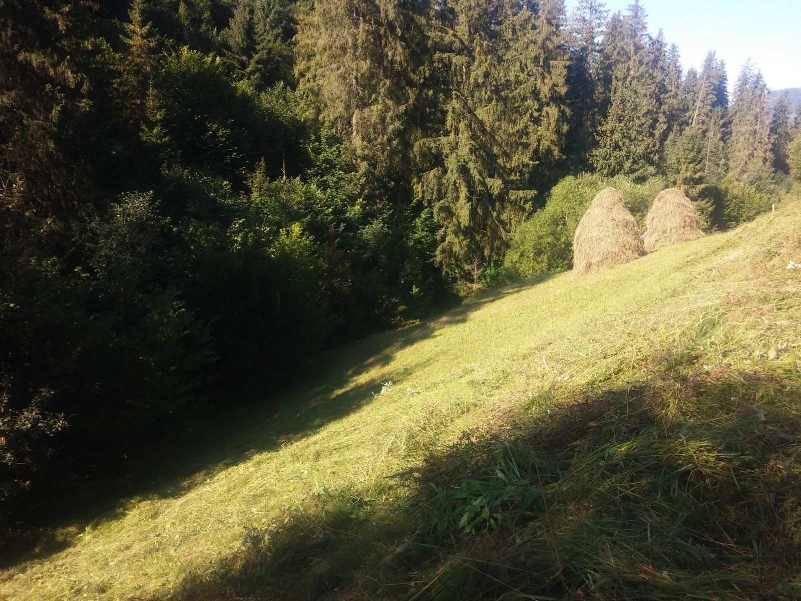 It's so lucky... - My, Photo, Nature, Travels, Carpathians, Longpost