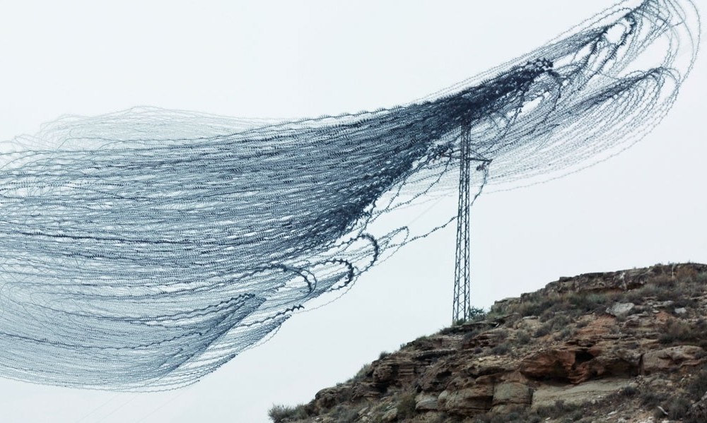 Movement of birds in flight - Birds, Flight, Longpost, Multiple exposure, Chronophotography, The photo