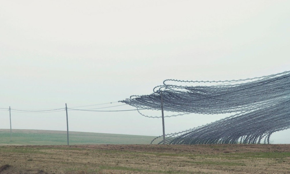 Movement of birds in flight - Birds, Flight, Longpost, Multiple exposure, Chronophotography, The photo