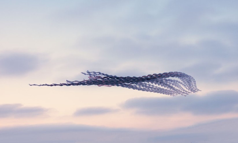 Movement of birds in flight - Birds, Flight, Longpost, Multiple exposure, Chronophotography, The photo