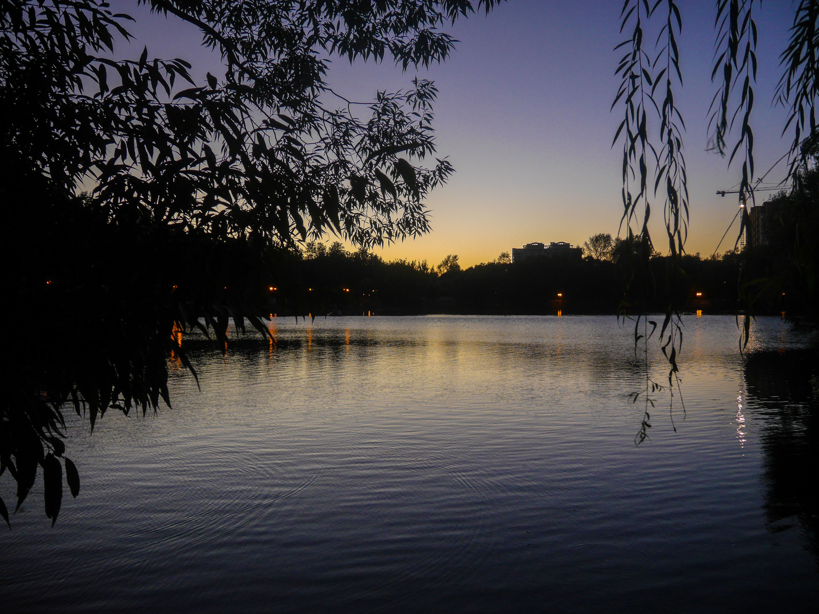 Park Natashinsky Ponds in Lyubertsy - My, Lyubertsy, The park, Photo, Evening