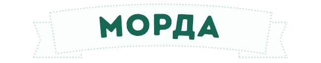 Для тех, кто хочет понимать собак - Собака, Животные, Поведение, Знаки, Длиннопост