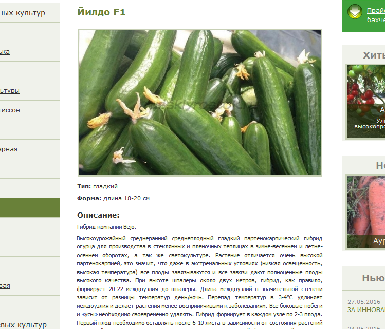 For strong and independent gardeners - Images, Cucumbers, 40 cats, , Scream