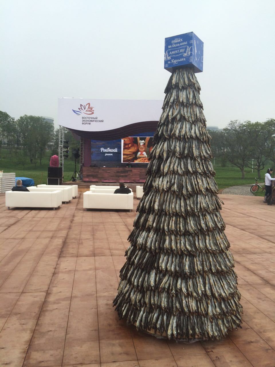 Far Eastern smelt tree at the Eastern Economic Forum, Vladivostok - Christmas trees, Smelt, Дальний Восток, Vef