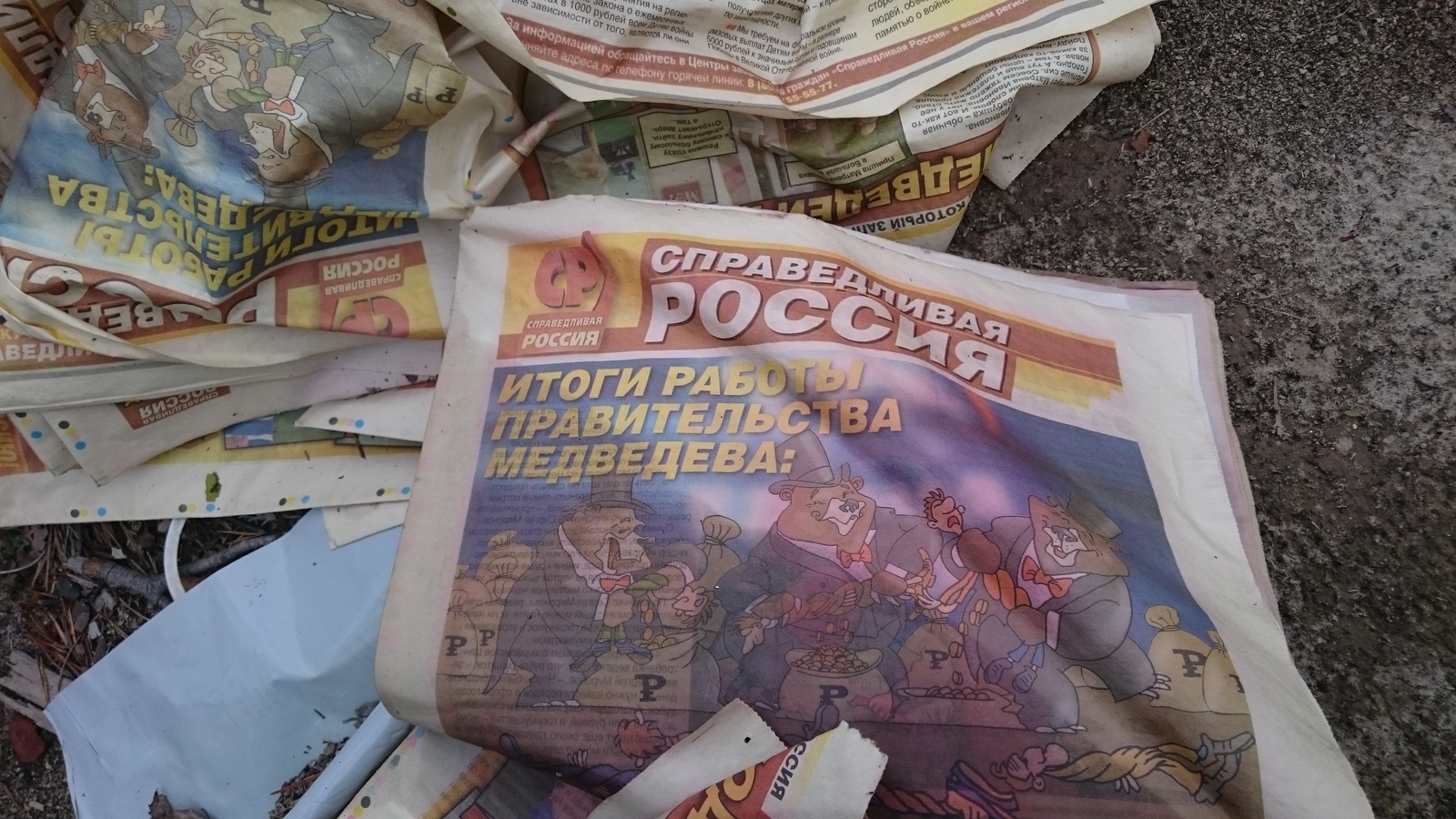 Fair Russia - My, Newspapers, Elections, Garbage, Forest, Deputies, Longpost