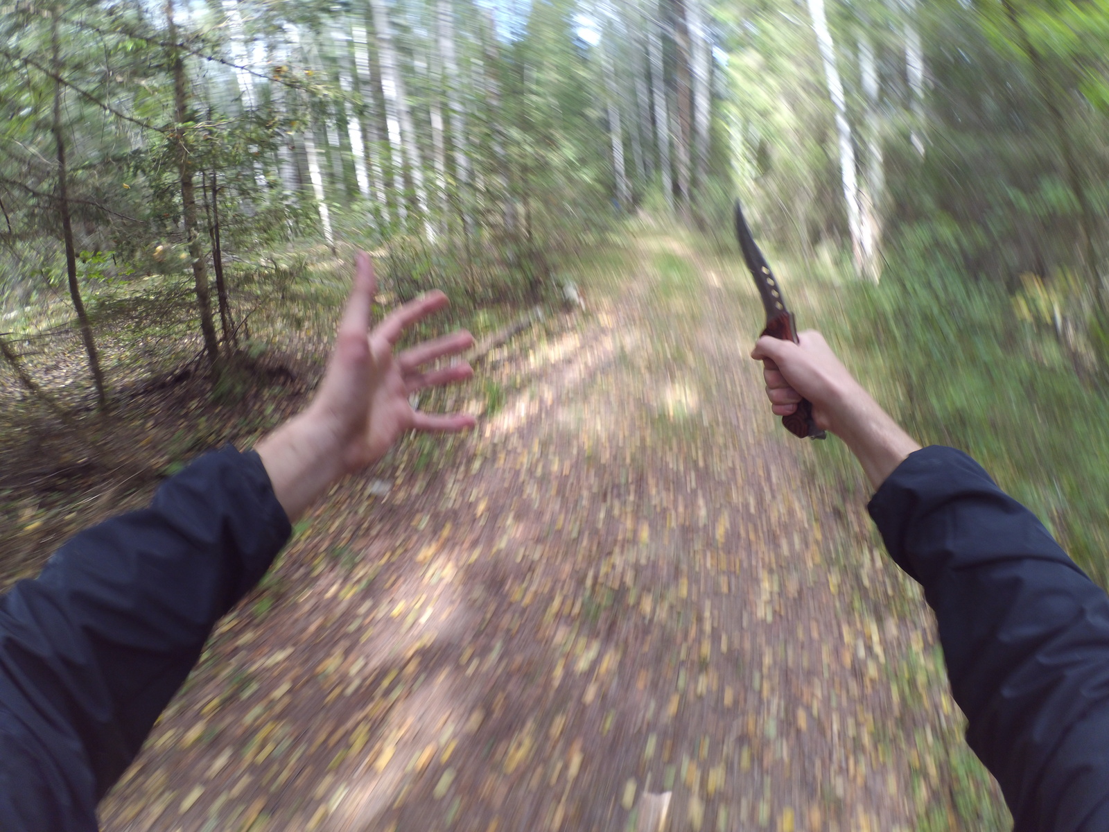 When I went for mushrooms and took an action camera - My, GoPRO, Forest, Mushrooms, Action, Danger, Killer
