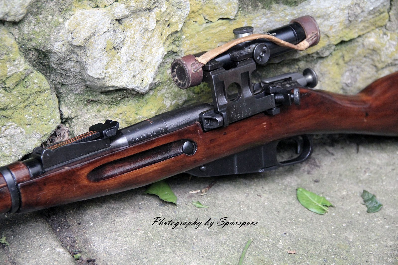 Mosin rifle - Weapon, Mosin rifle, Longpost