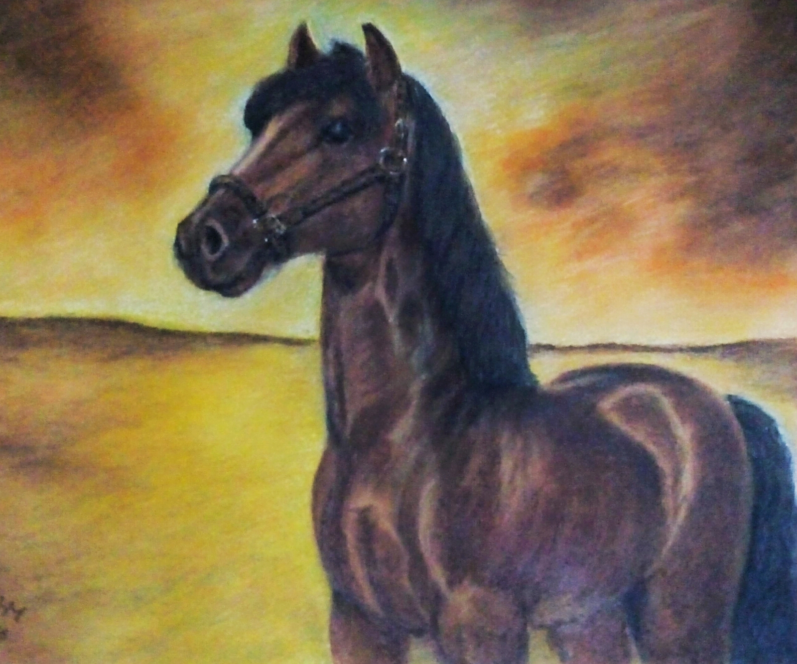 I would like to share my horses. All works are done in pastels. Which do you think is more successful? - My, Drawing, Pastel, Opinion, Horses, Horses, Longpost