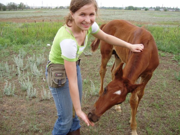 How we grazed the herd in the stable - My, Horses, Horses, Herd, Memories, Herdsman, Longpost