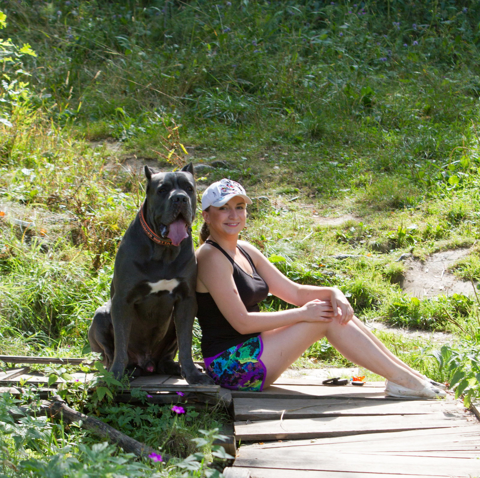 Bone Day! - My, Dog, Cane Corso, Animals, The photo, Dog days, , Longpost