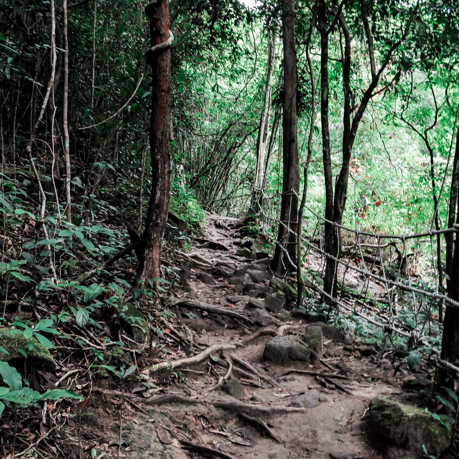 Thailand - My, The photo, Photographer, Nature, Thailand, Longpost