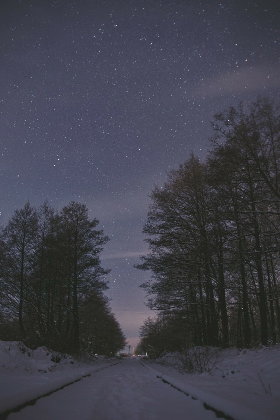 Orion Nebula and Winter Silence - Space, The photo, Astronomy, Winter, Forest, Walk, Longpost