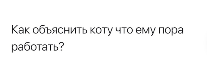 Как- то так 294... - Форум, Скриншот, Подборка, ВКонтакте, Вопрос, Чушь, Как-То так, Staruxa111, Длиннопост