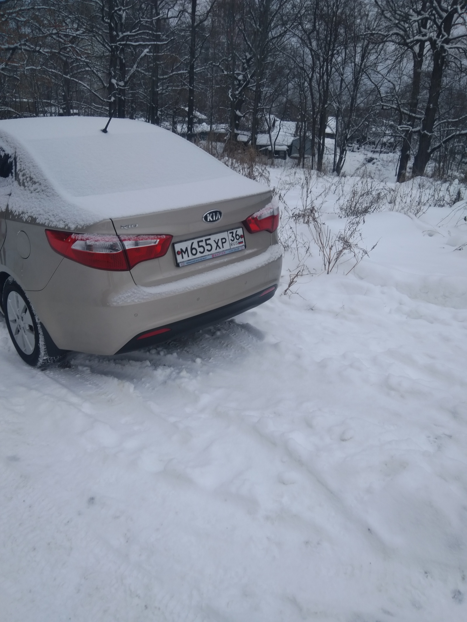 Spontaneous parking in the protected natural area of ??the park - My, Неправильная парковка, Freaks, Longpost