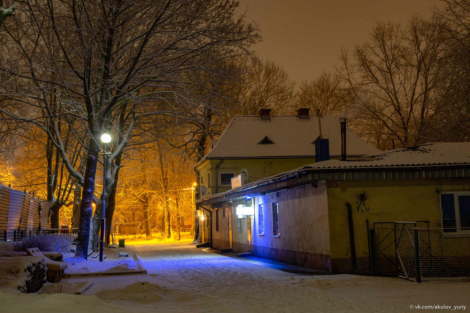 Winter sketches - My, Winter, The photo, Kaliningrad, Longpost