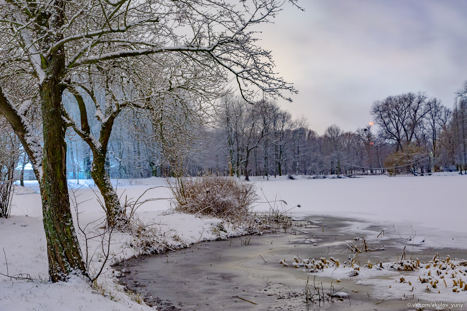 Winter sketches - My, Winter, The photo, Kaliningrad, Longpost