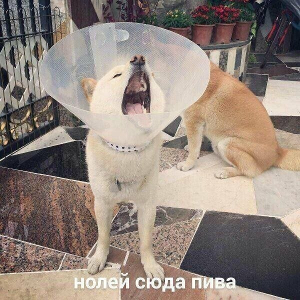 Иначе в чем вообще смысл этой приблуды