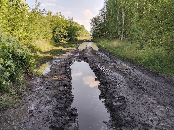 Немножко говен