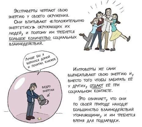 Руководство к пониманию интроверов и в частности ко мне - Интроверт, Психология, Стереотипы, Мифы, Разоблачение, Отношения, Общество, Длиннопост