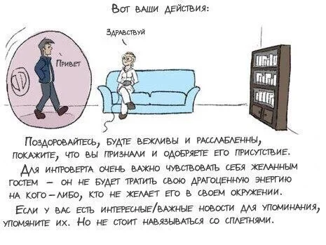 Руководство к пониманию интроверов и в частности ко мне - Интроверт, Психология, Стереотипы, Мифы, Разоблачение, Отношения, Общество, Длиннопост