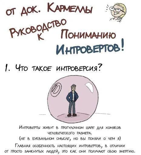 Руководство к пониманию интроверов и в частности ко мне - Интроверт, Психология, Стереотипы, Мифы, Разоблачение, Отношения, Общество, Длиннопост