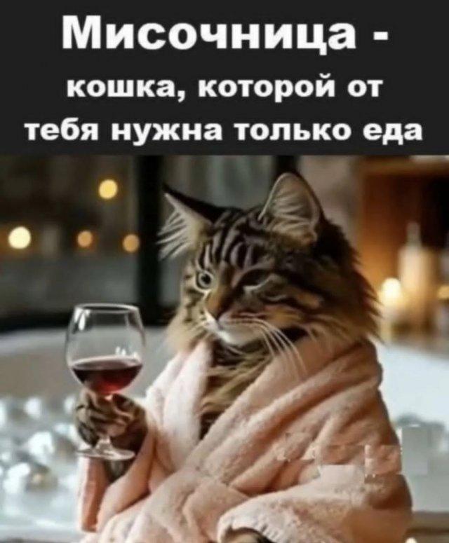 Твоя Любимка