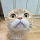 Аватар пользователя andymoron