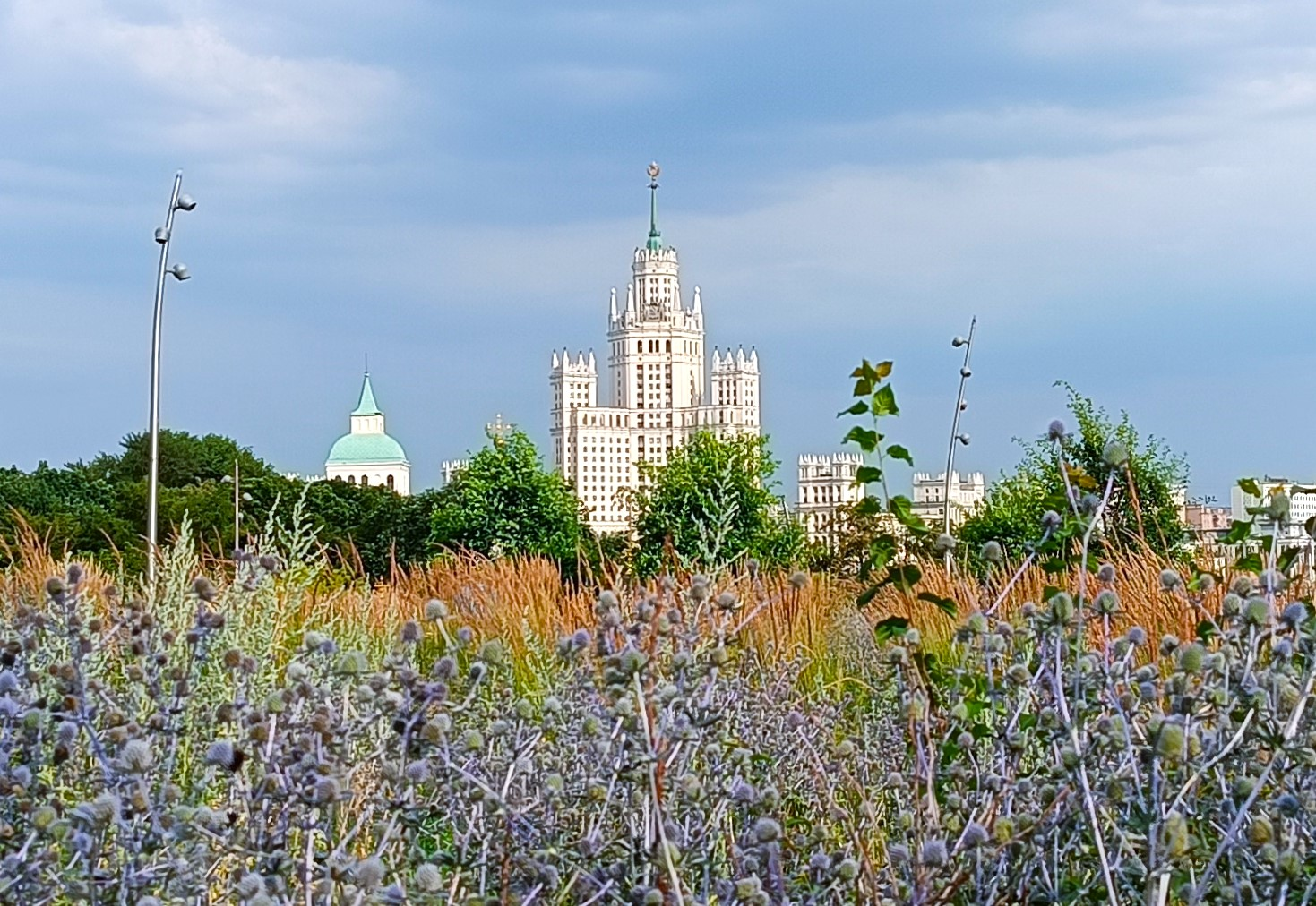 Weeds don't exist in the city because there's no harvest. 6 arguments for wild plants, mixed herbs, and natives. - Plants, Plant growing, Groundcover plants, Weeds, Ecosystem, Town, Botany, Health, Urbanism, Longpost