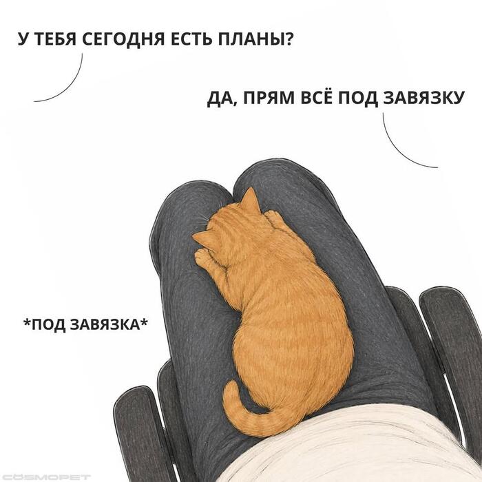 ����� ������