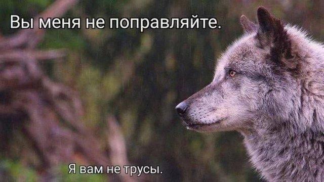А правда