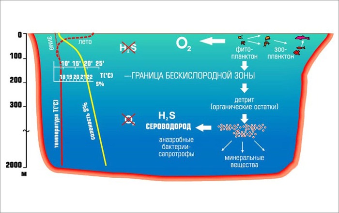 <!--noindex--><a href="https://pikabu.ru/story/kladbishche_drevnikh_korabley_i_zona_smerti_polnaya_istoriya_chyornogo_morya_o_kotoroy_ne_rasskazhut_v_putevoditelyakh_14253747?u=https%3A%2F%2Fiiaun.ru%2Factivity%2Fdirections%2Fblack-sea%2F&t=https%3A%2F%2Fiiaun.ru%2Factivity%2Fdirections%2Fblack-sea%2F&h=05c7c6848b46b252742dbe7d4f3e277d648e367a" title="https://iiaun.ru/activity/directions/black-sea/" target="_blank" rel="nofollow noopener">https://iiaun.ru/activity/directions/black-sea/</a><!--/noindex-->