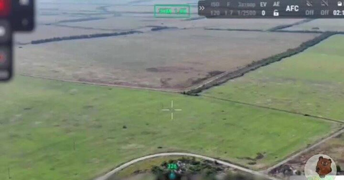 A video has emerged showing the destruction of a column of 100 Ukrainian Armed Forces drones. - Politics, Special operation, Drone, Drone, Troops of unmanned systems, Russia, Ukraine, Military technologies, Video, Video VK, MAX messenger (link), Flamethrower