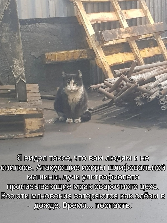 ����� �� ���� ��������