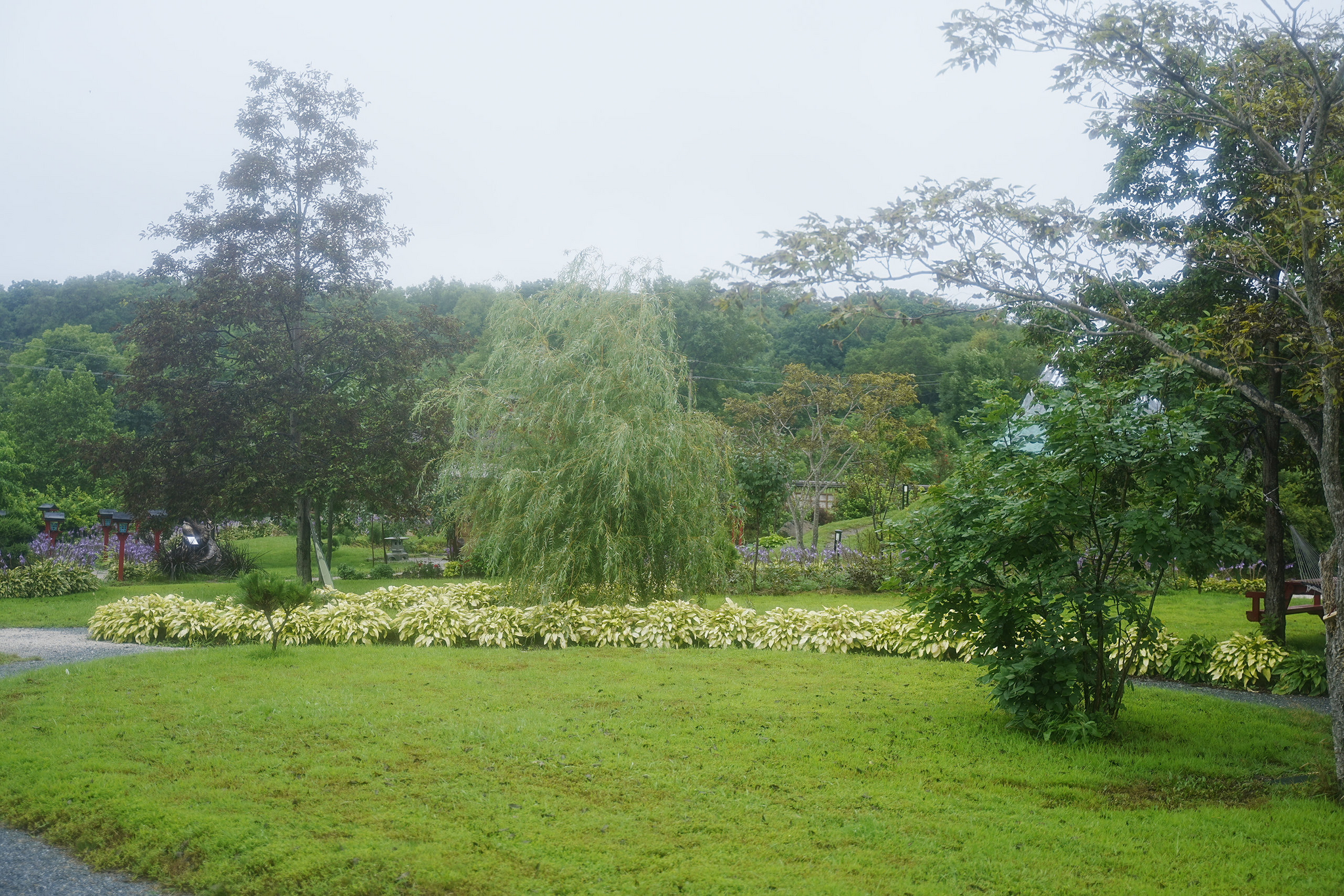 Japanese gardens near Nakhodka, morning after rain - My, Primorsky Krai, Photographer, City Nakhodka, Japanese Garden, Kappa, Spider, Longpost